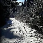 イン Viehberghuette *
