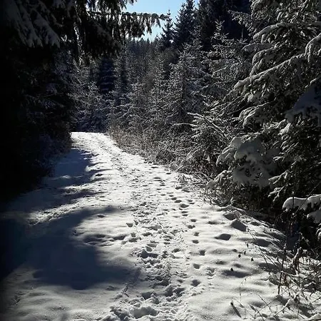 Herberg Viehberghuette *