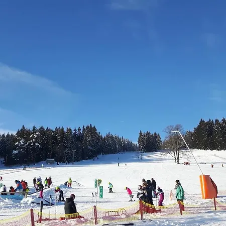 Viehberghuette *