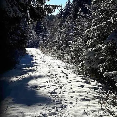Viehberghuette