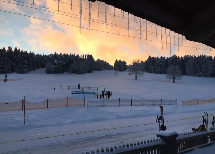 Viehberghuette * Sandl