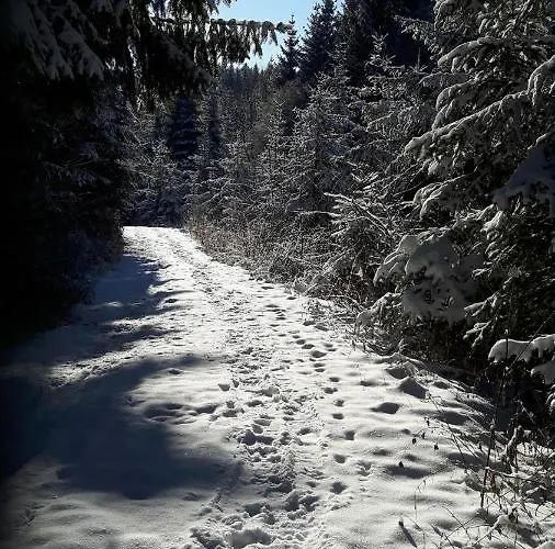 Kro Viehberghuette *