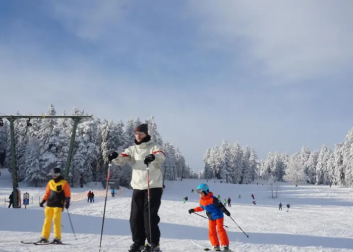 Viehberghuette Sandl