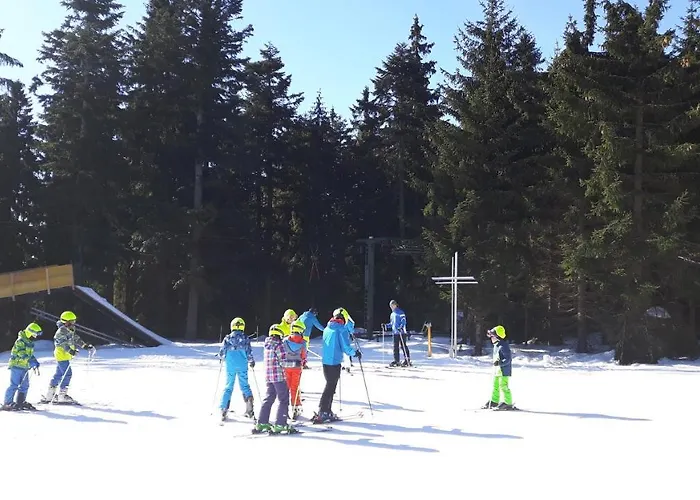 Viehberghuette Fogadó Sandl