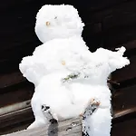 Viehberghuette * Sandl