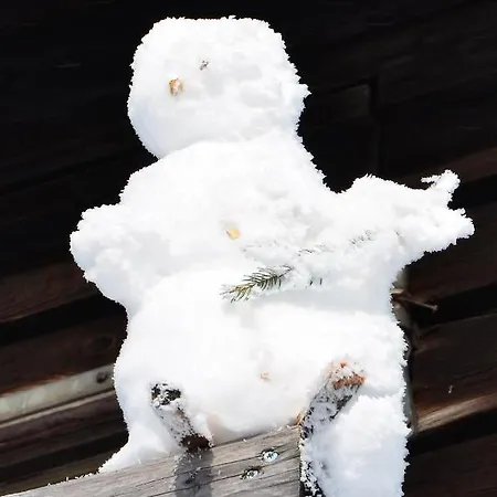 Viehberghuette * Sandl