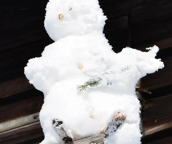 Viehberghuette * Sandl