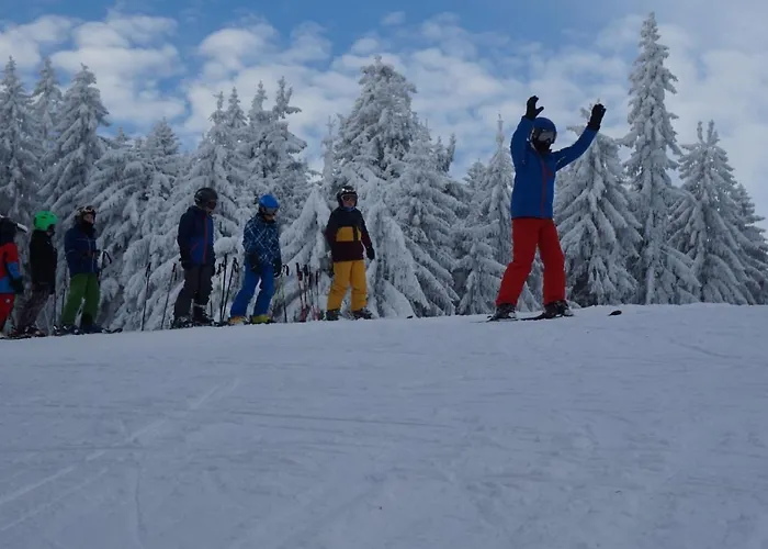 Penzion Viehberghuette