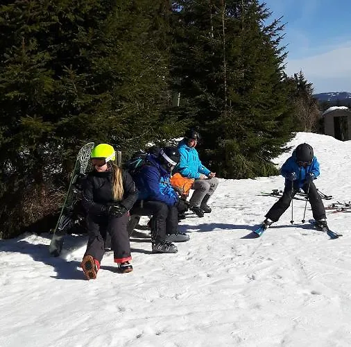 Viehberghuette Sandl